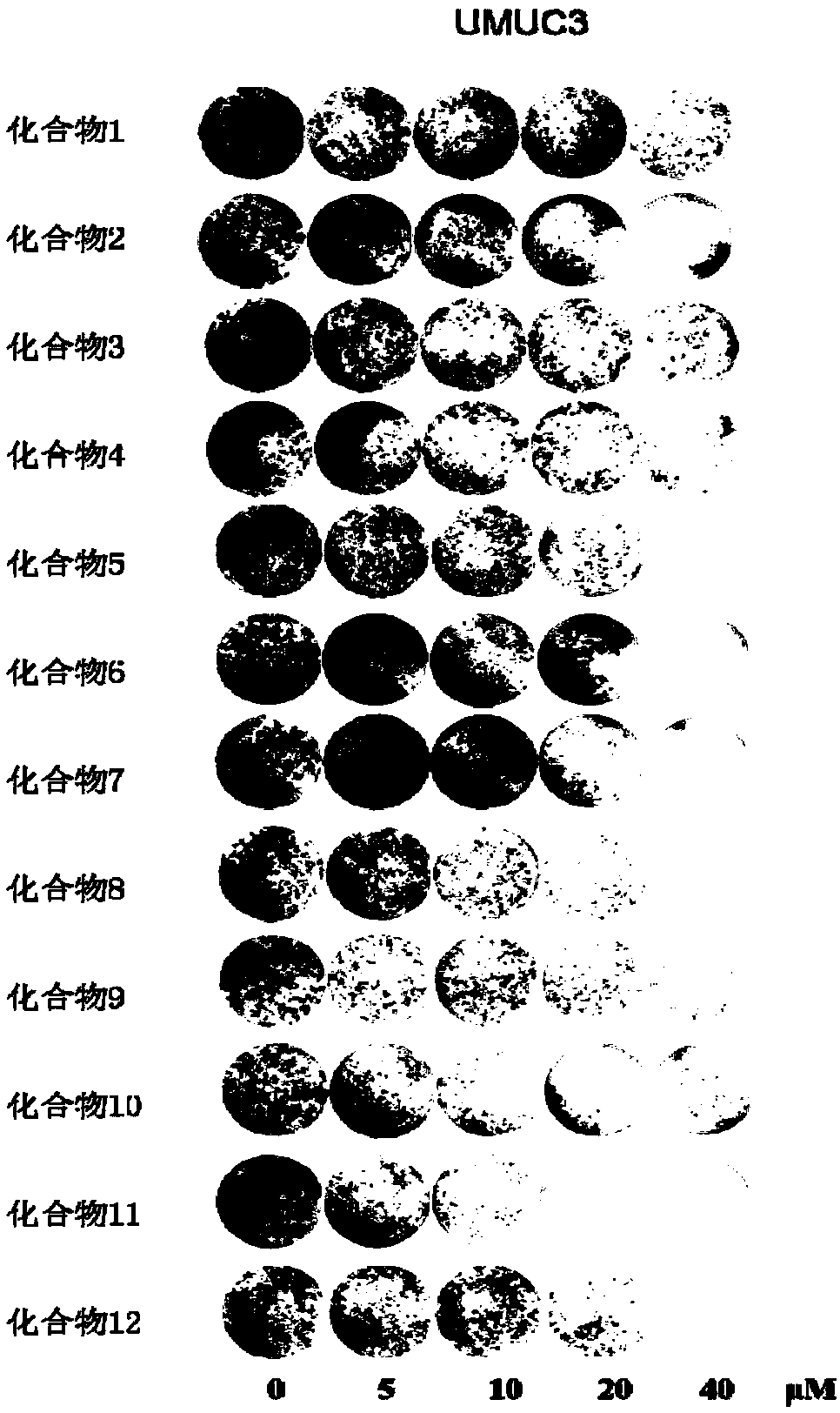 Biguanide derivatives, pharmaceutical composition, preparation method and application