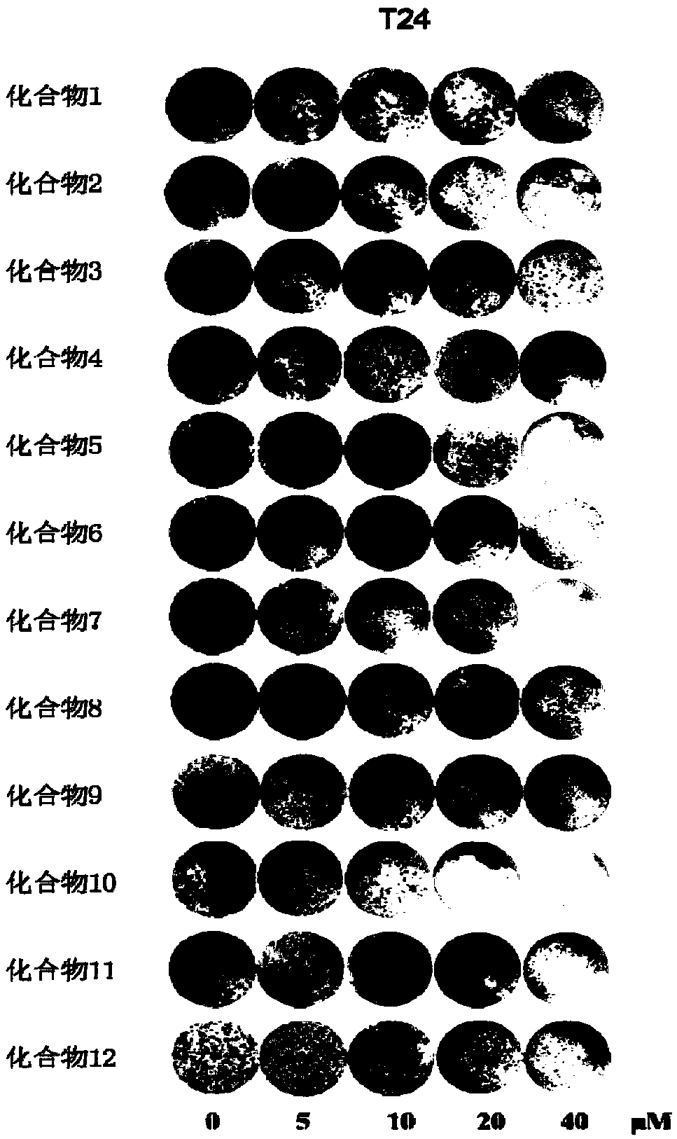 Biguanide derivatives, pharmaceutical composition, preparation method and application