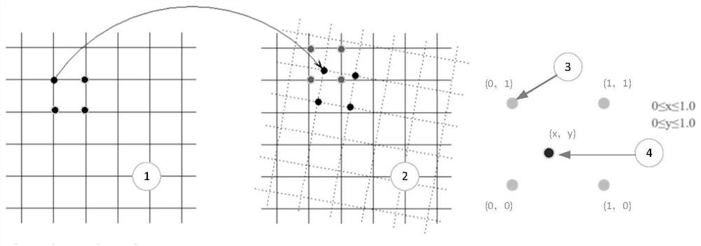 Method for representing soil components by using images