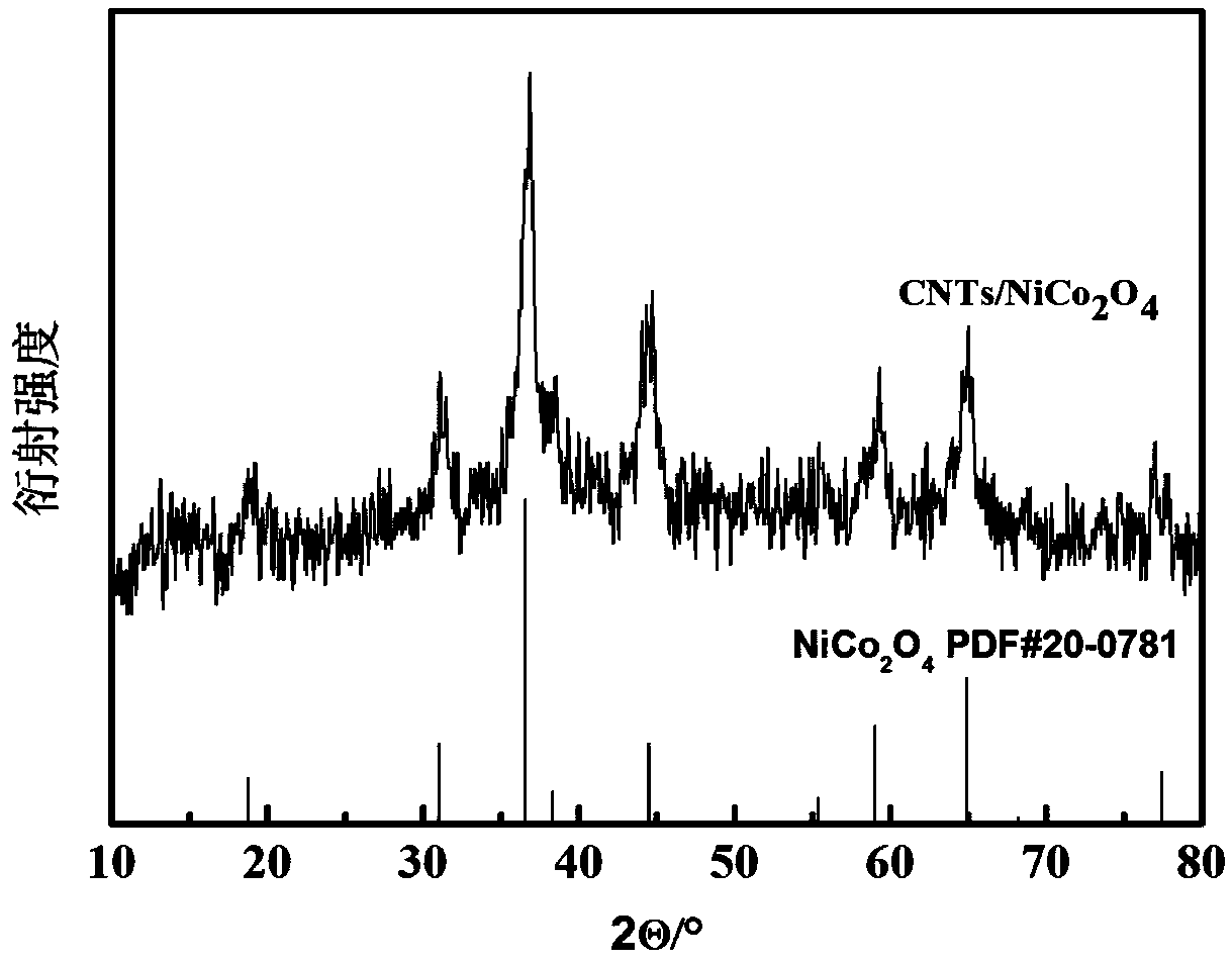 Carbon nanotube/nickel cobaltate lithium ion battery negative electrode material and preparation method thereof