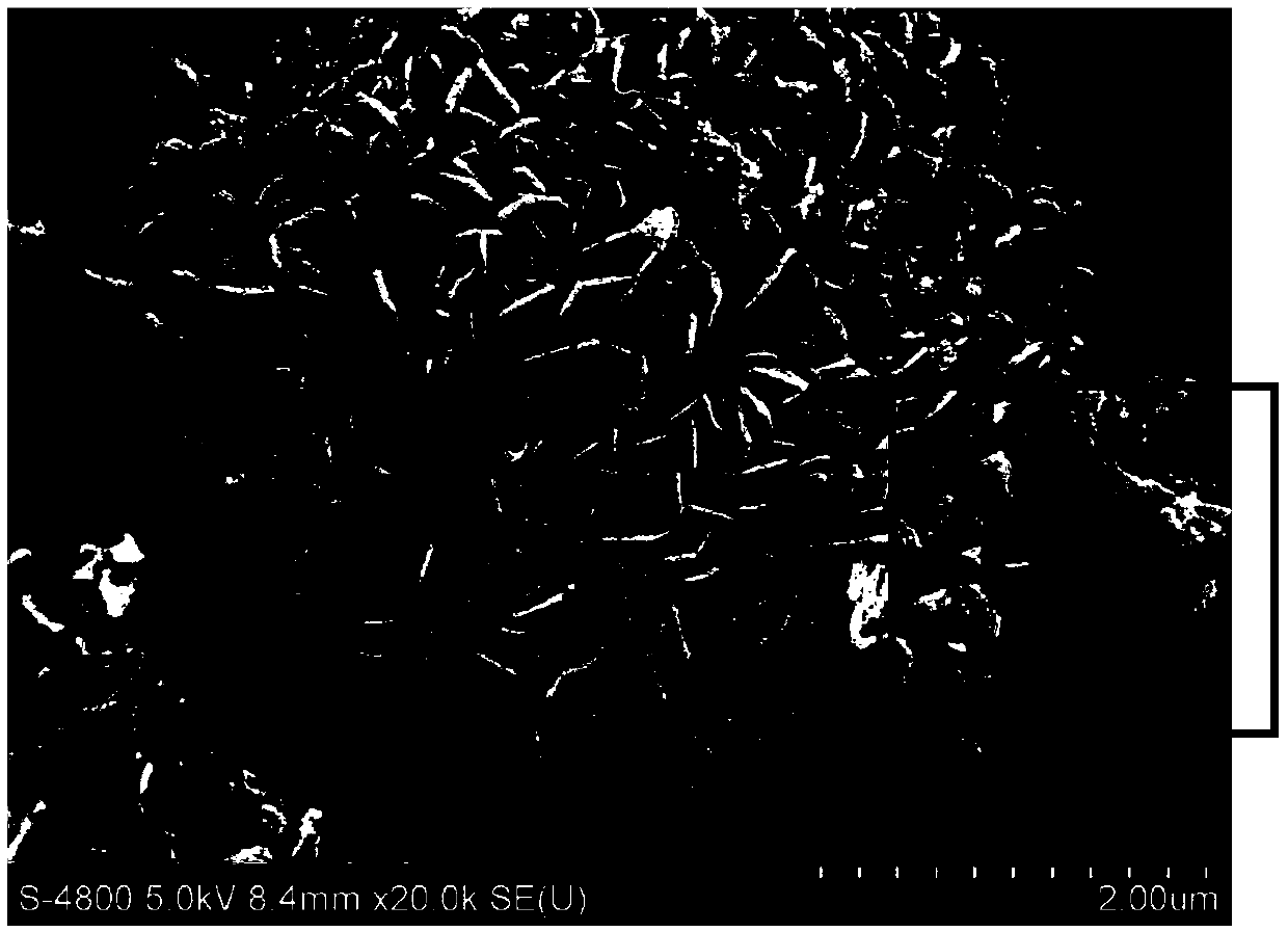 Carbon nanotube/nickel cobaltate lithium ion battery negative electrode material and preparation method thereof