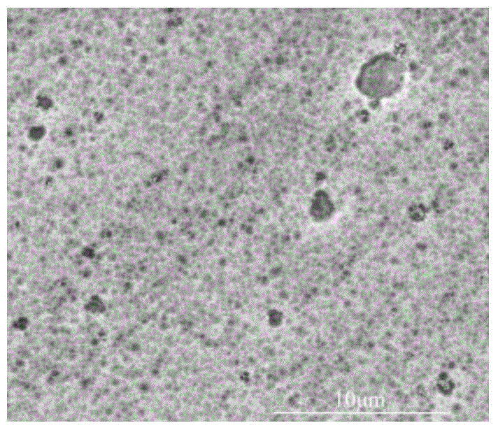 A current-assisted chemical texturing method for aluminum-doped zinc oxide thin films