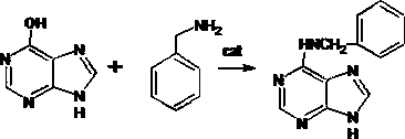 A kind of preparation method of 6-benzylaminopurine