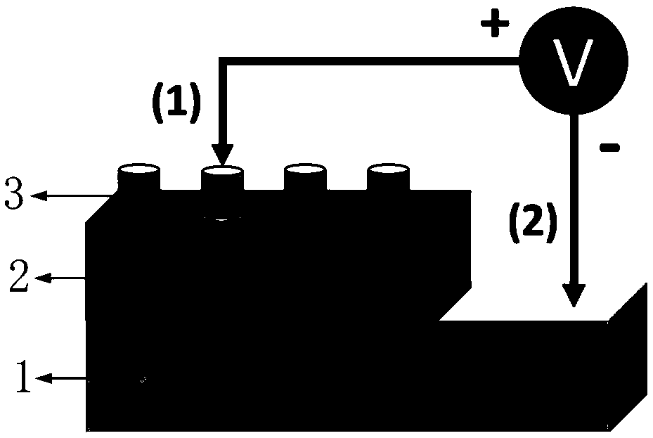 An organic biocompatible resistive neurobionic device, its preparation method and application