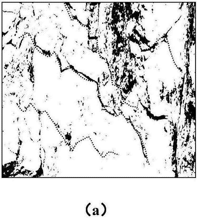 Method for building rough stochastic discrete joint network models