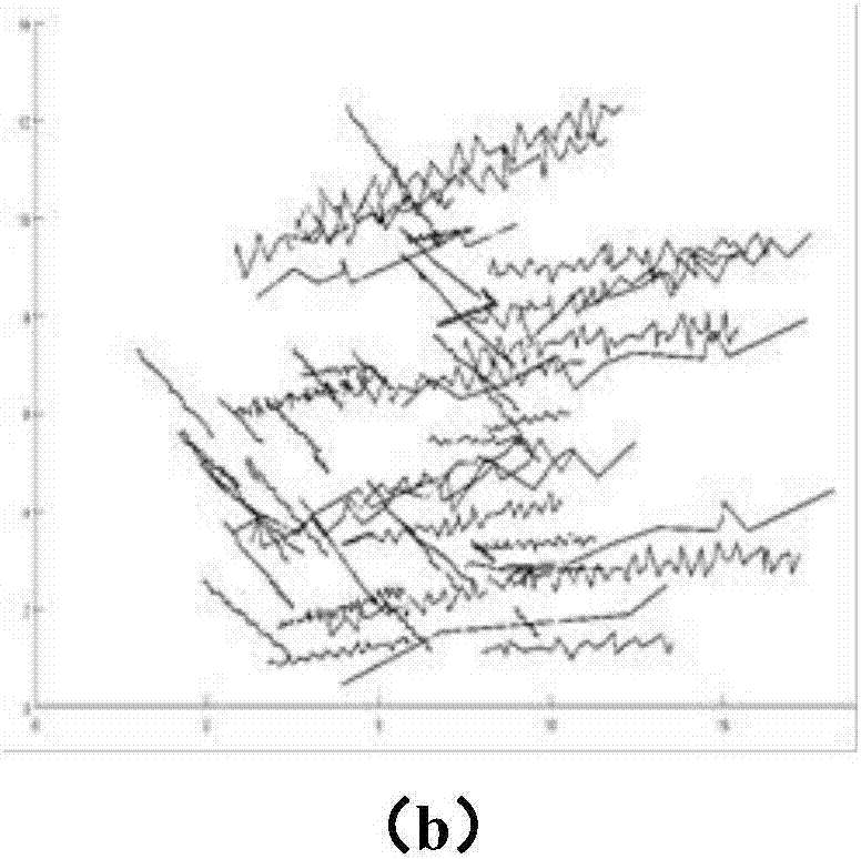 Method for building rough stochastic discrete joint network models