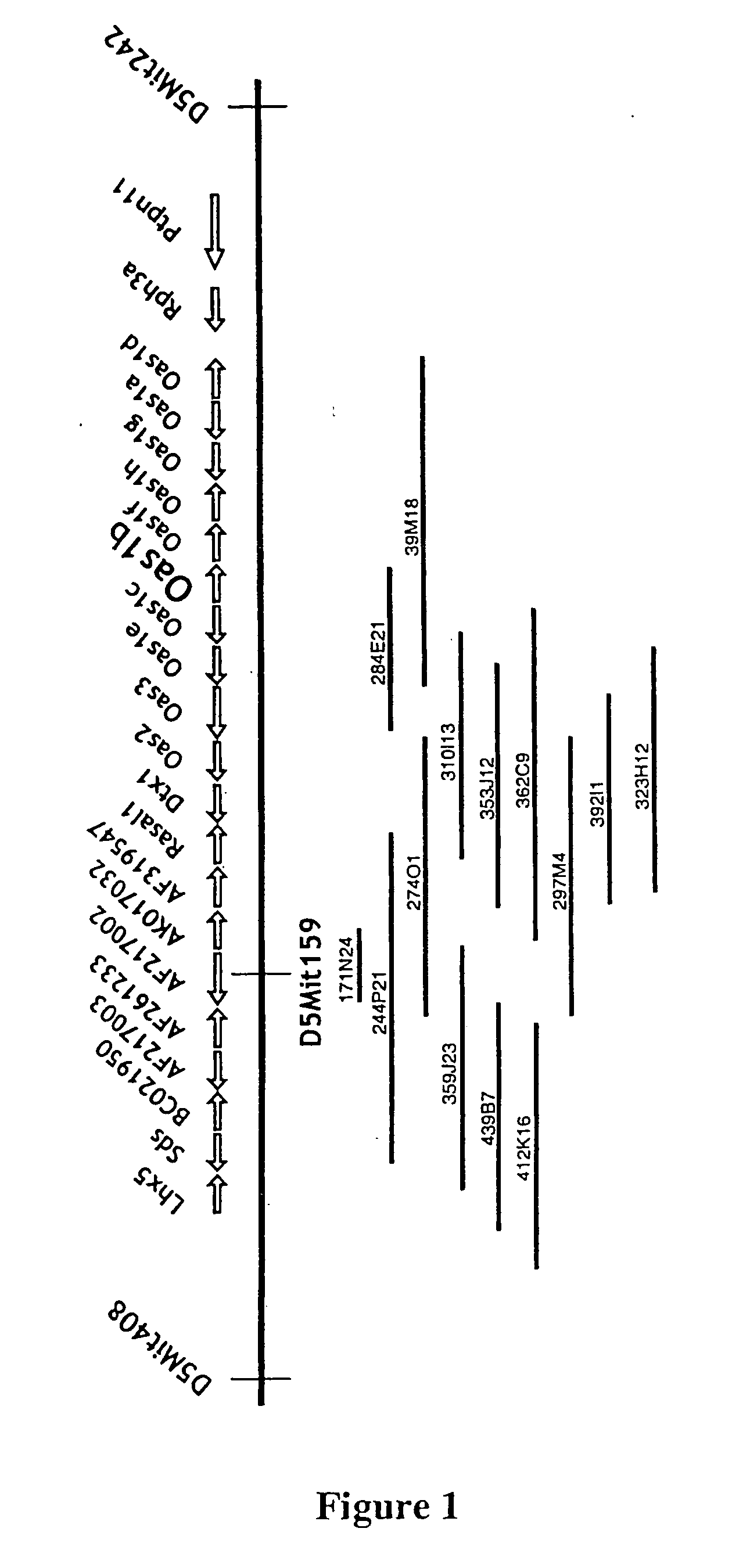 Compositions and methods for viral resistance genes