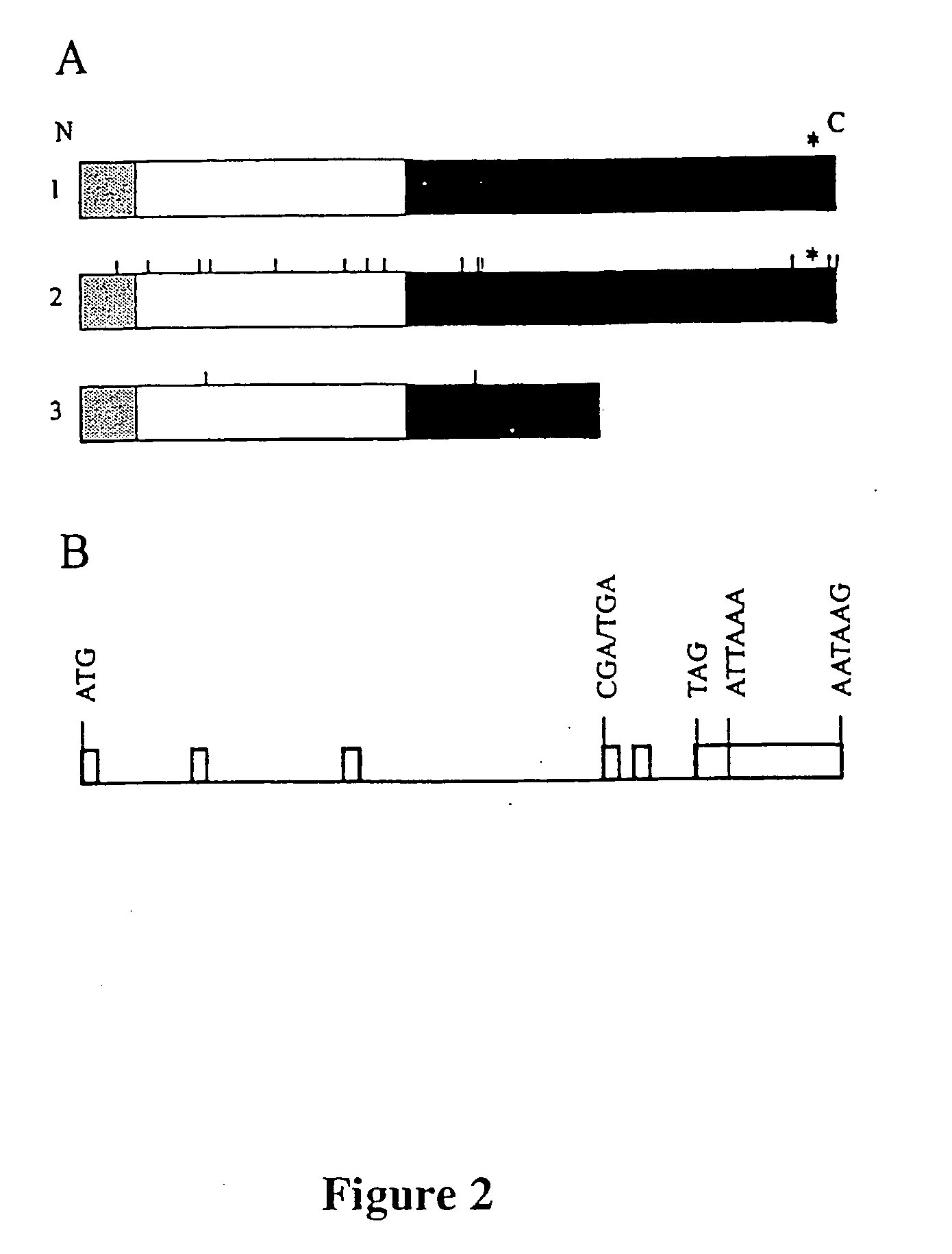 Compositions and methods for viral resistance genes