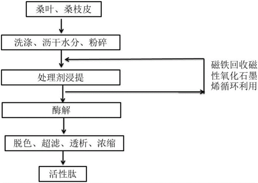 Preparation method of mulberry protein active peptide