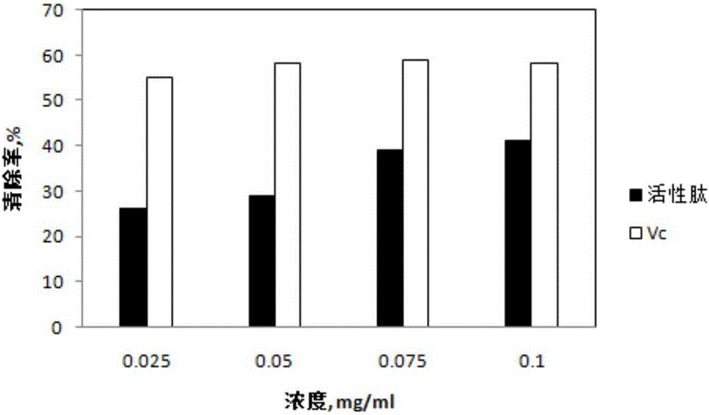 Preparation method of mulberry protein active peptide