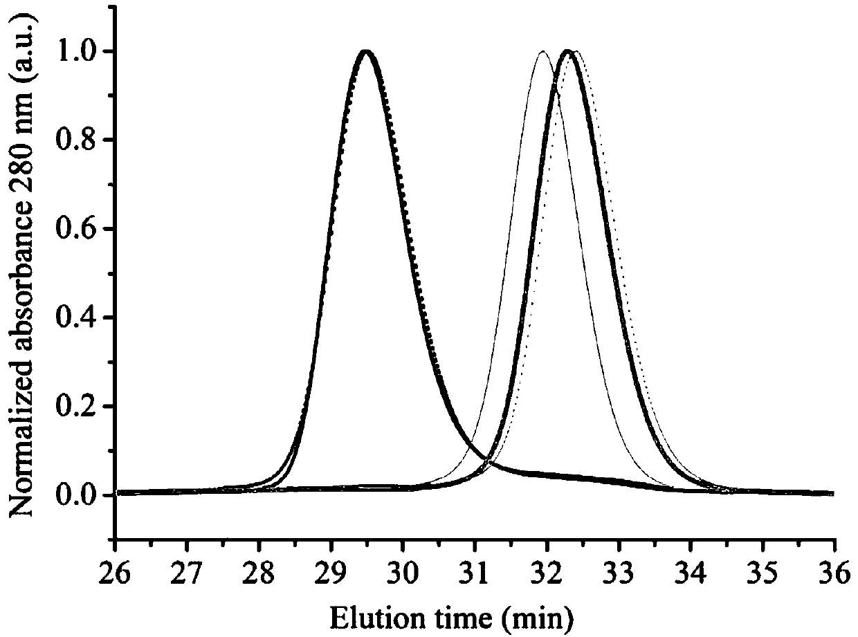 Fluorescent protein, and preparation method and application thereof