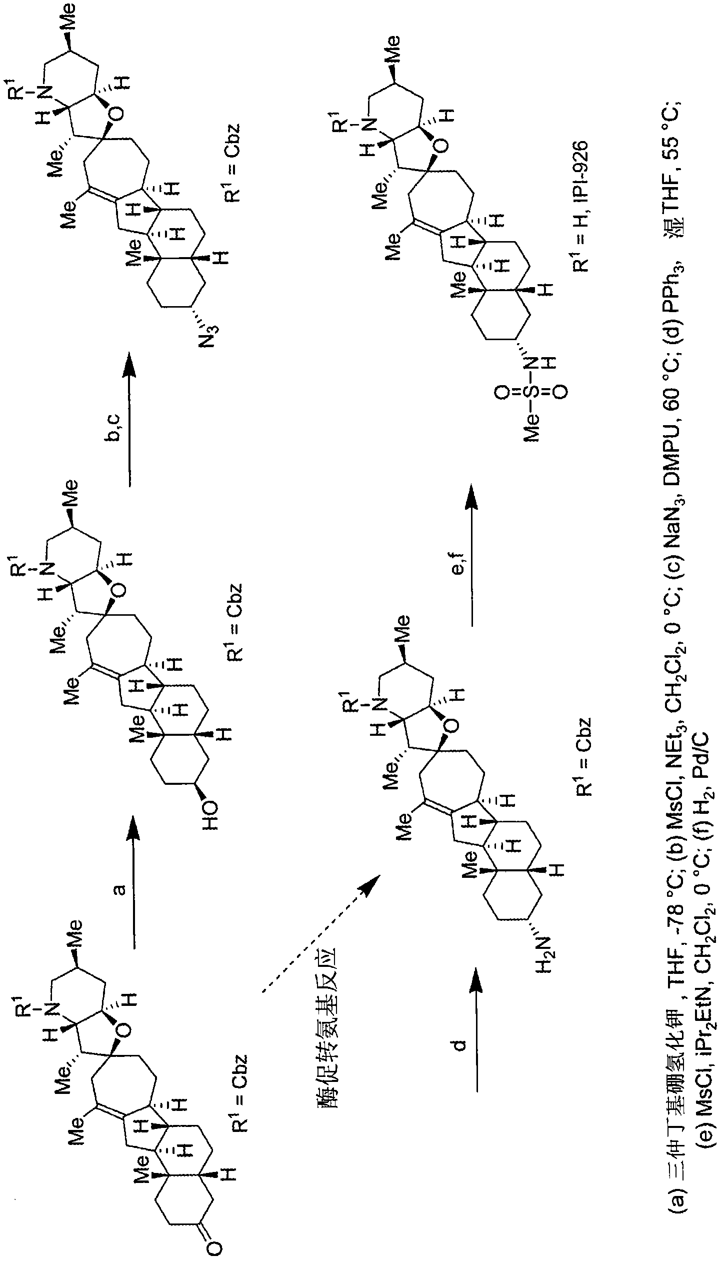 Enzymatic transamination of cyclopamine analogs