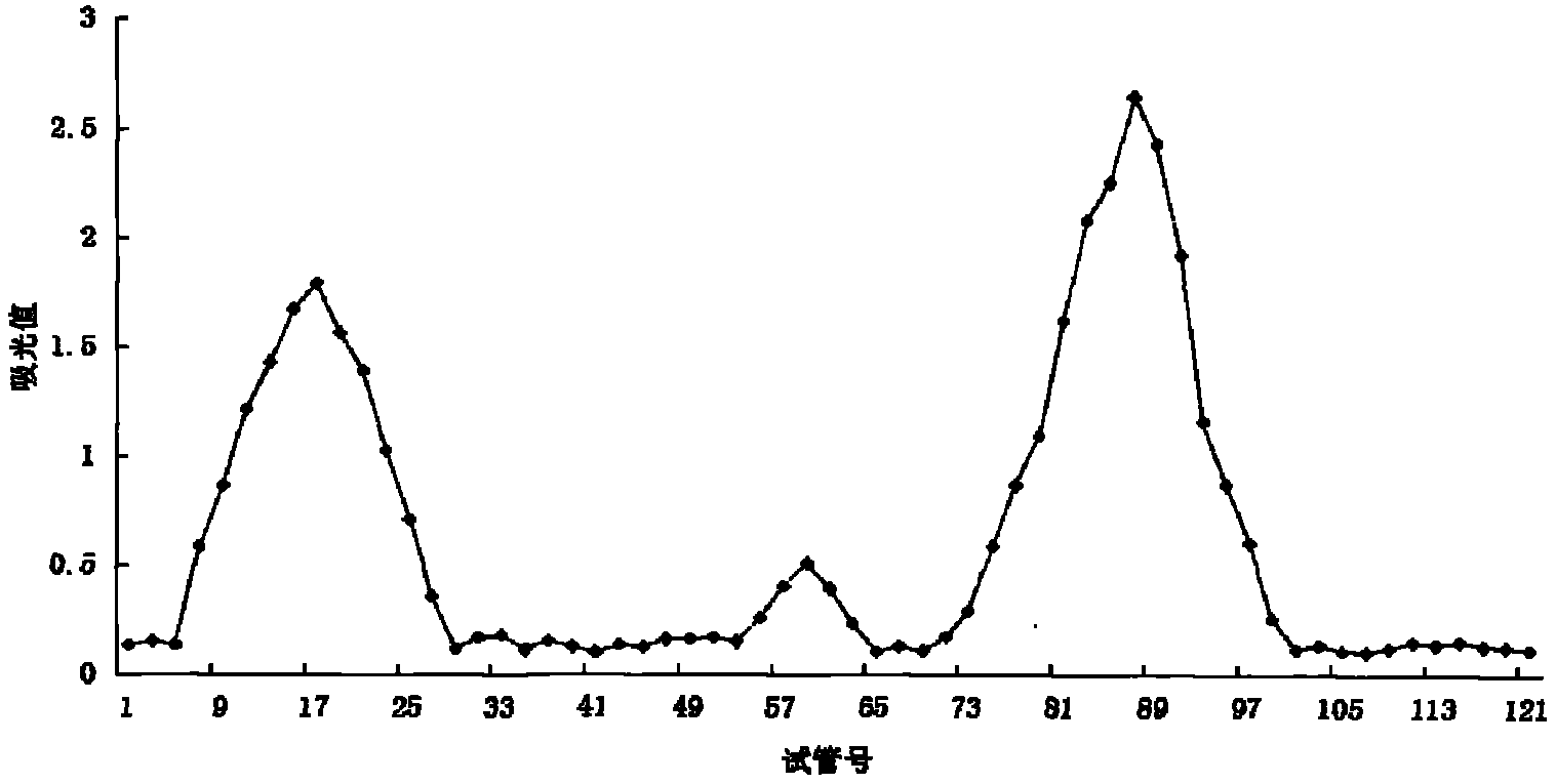 Jujube polysaccharide and preparation method thereof