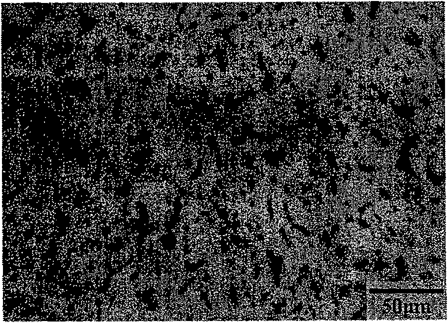 Composite technique for rolling semi-solid state copper-lead bearing alloy/steel bi-metal