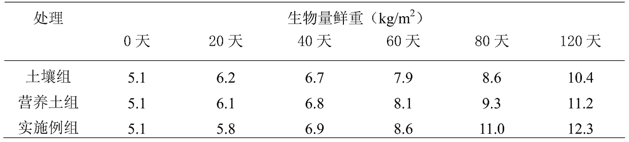 Roof turf substrate with mushroom chaff and biogas slurry as main ingredients and preparation method thereof