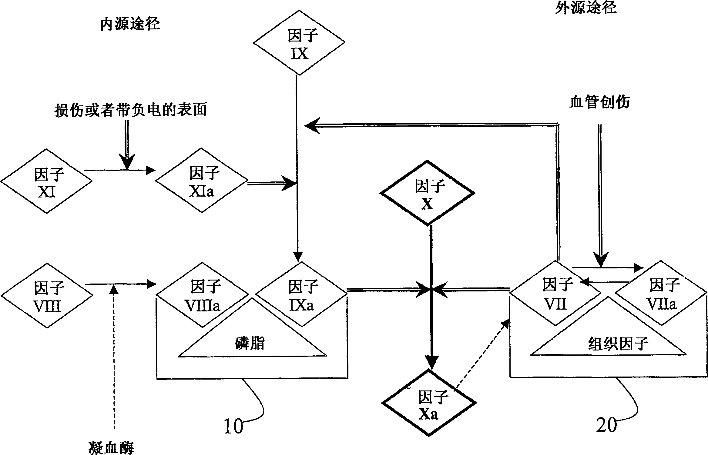 Aryl and heteroaryl compounds, compositions, and methods of use