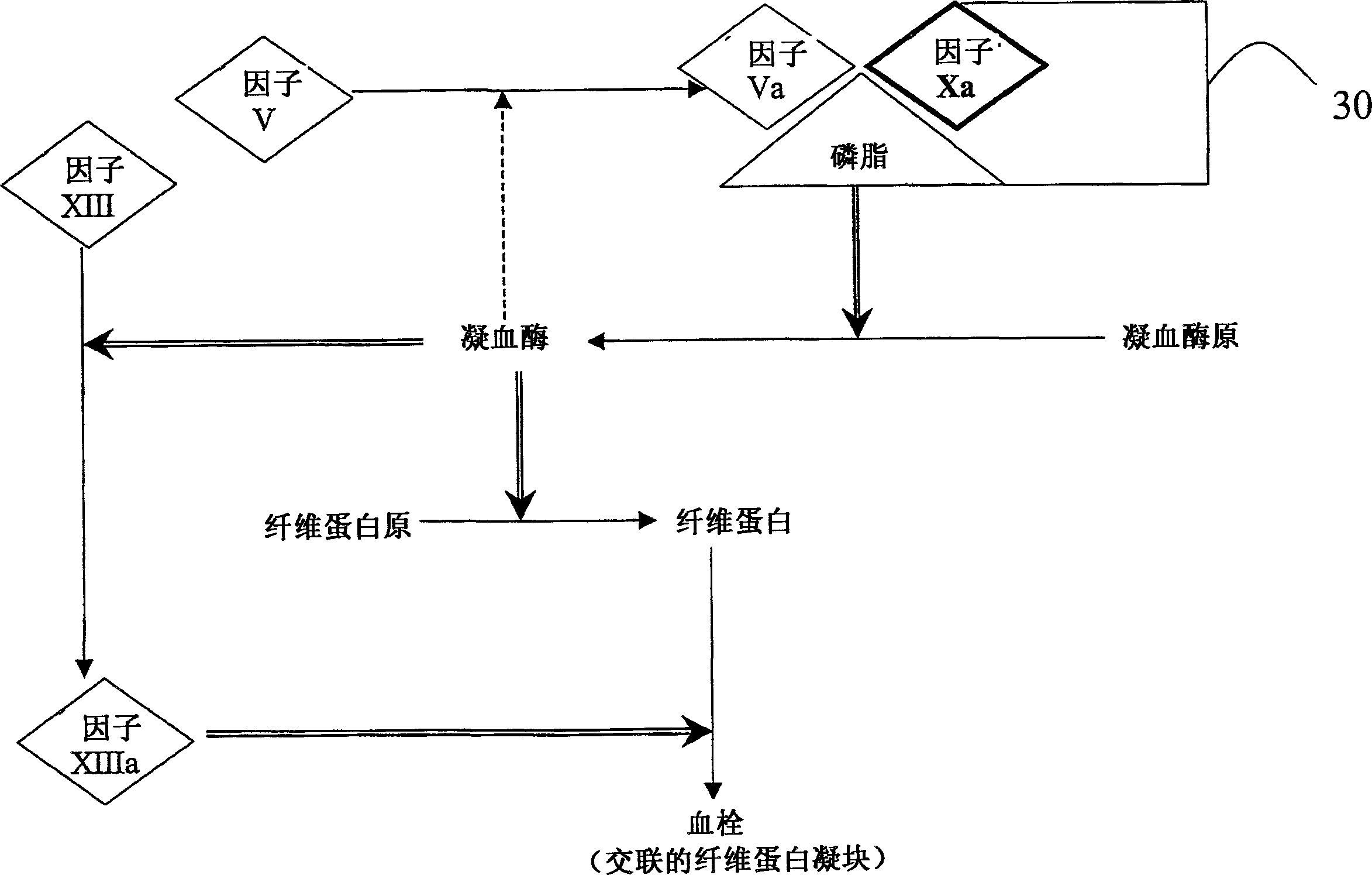 Aryl and heteroaryl compounds, compositions, and methods of use