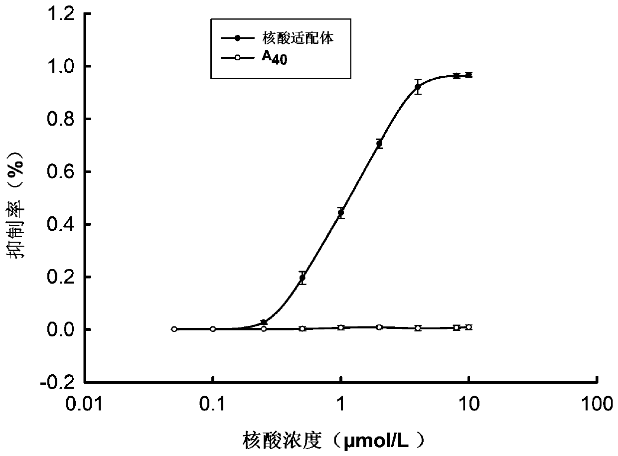 Aptamer with xanthine oxidase inhibitory activity and application thereof