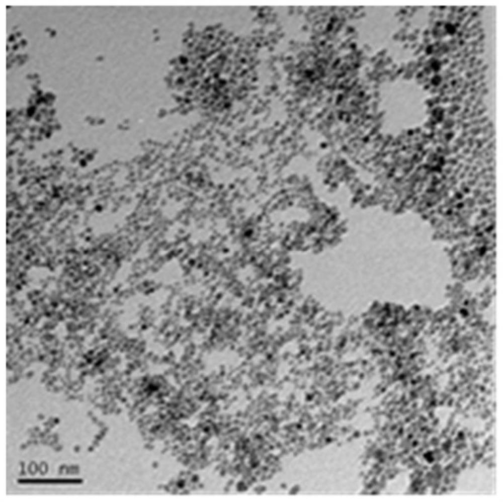 A kind of magnetic composite nanomaterial and its preparation method and application
