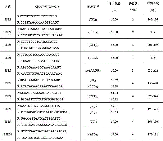 Method for detecting phalaenopsis amabilis mutants