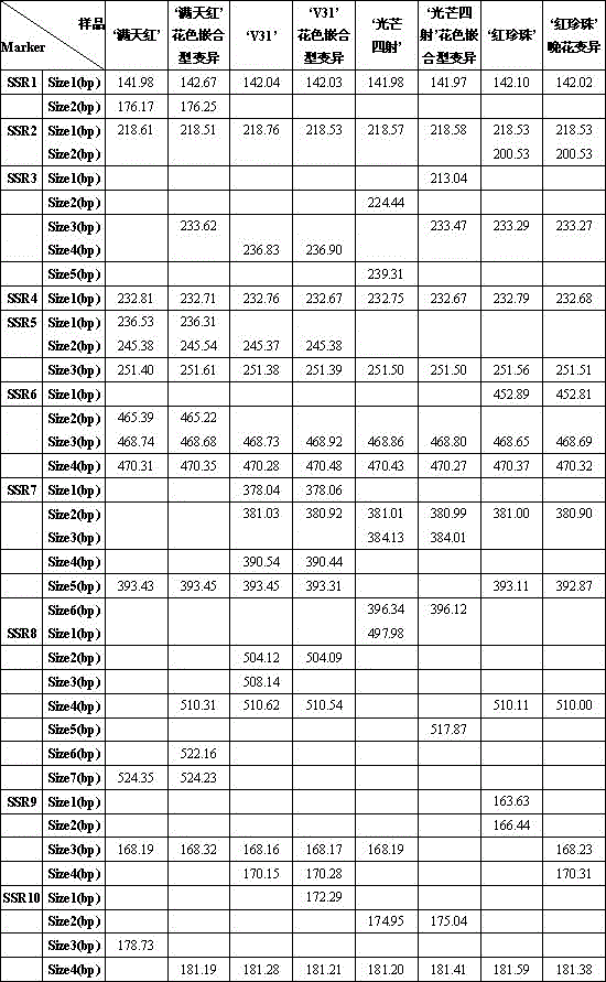 Method for detecting phalaenopsis amabilis mutants