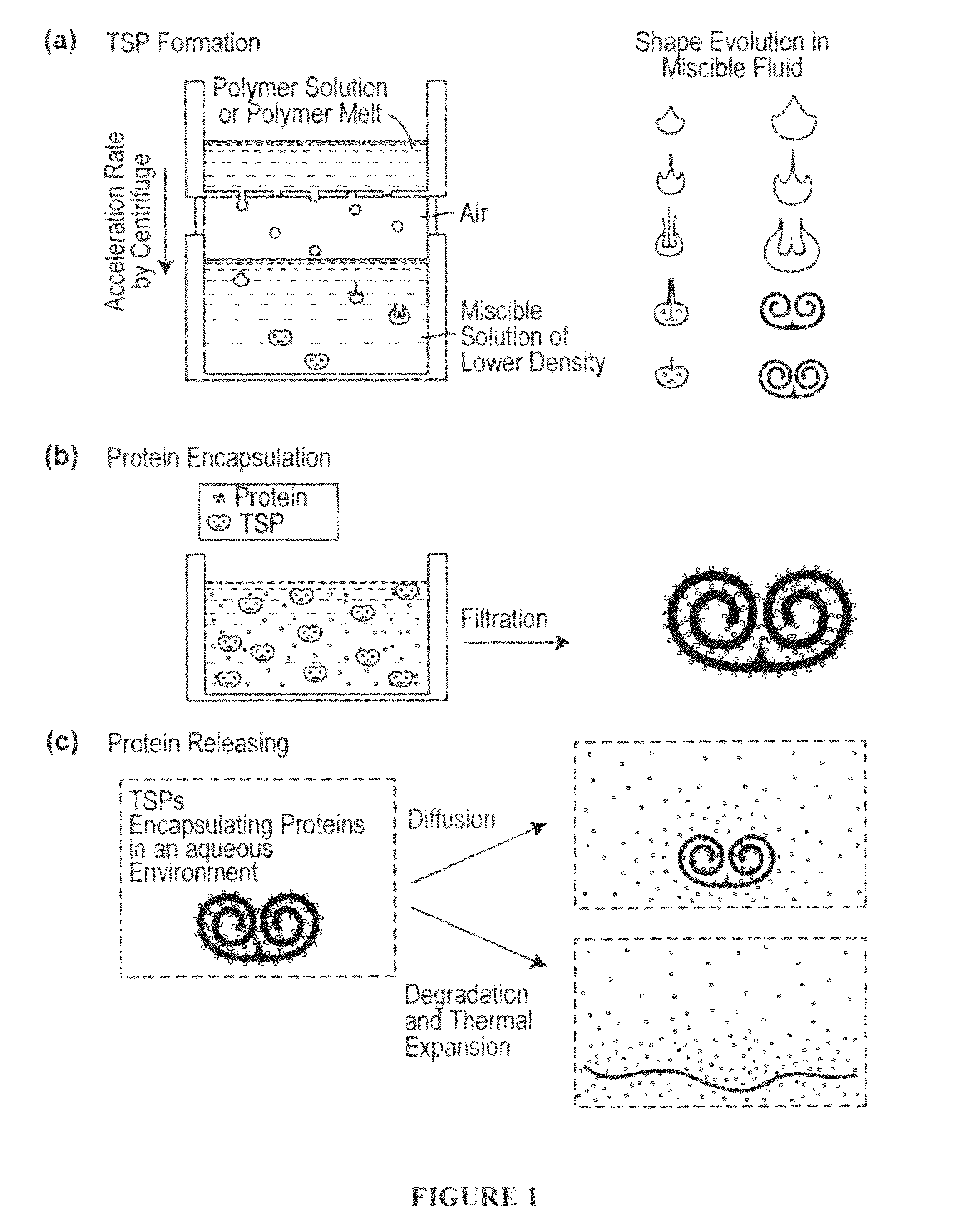 Self-assembled toroidal-spiral particles and manufacture and uses thereof