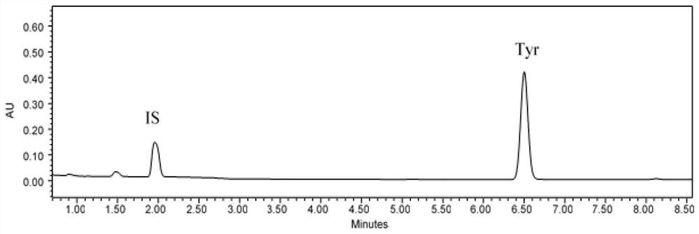 A kind of detection method of tyramine content in fermented vinegar