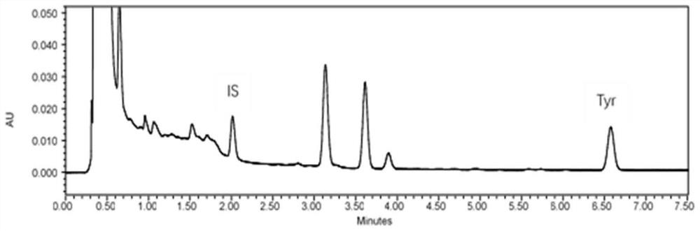 A kind of detection method of tyramine content in fermented vinegar