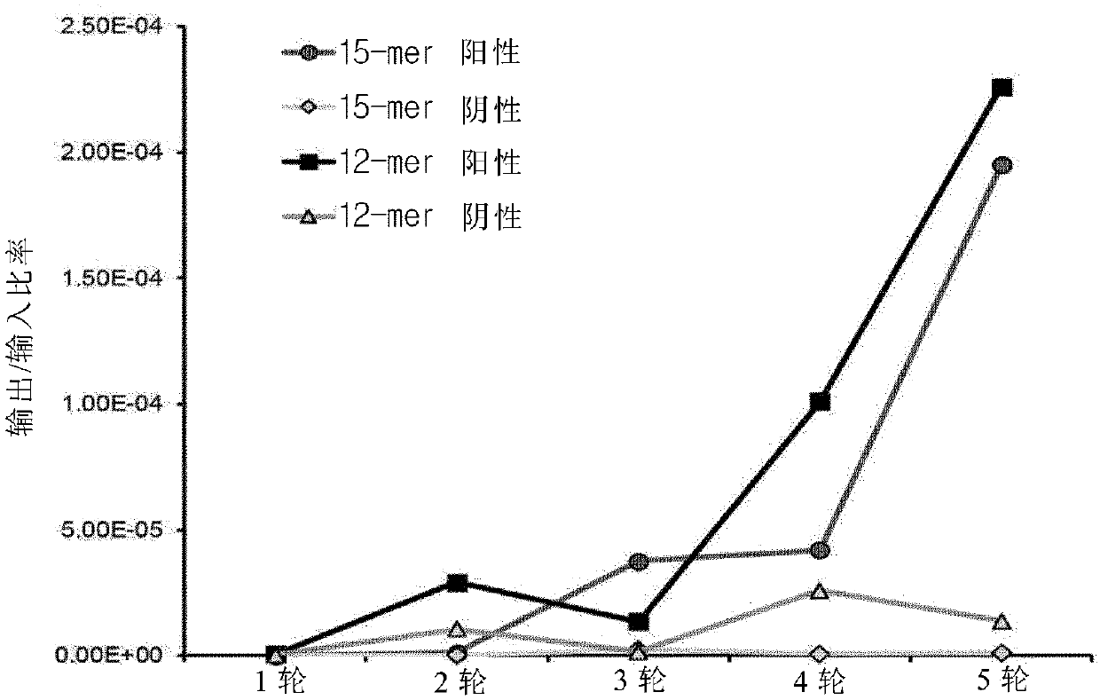 Novel TLR4 antagonist