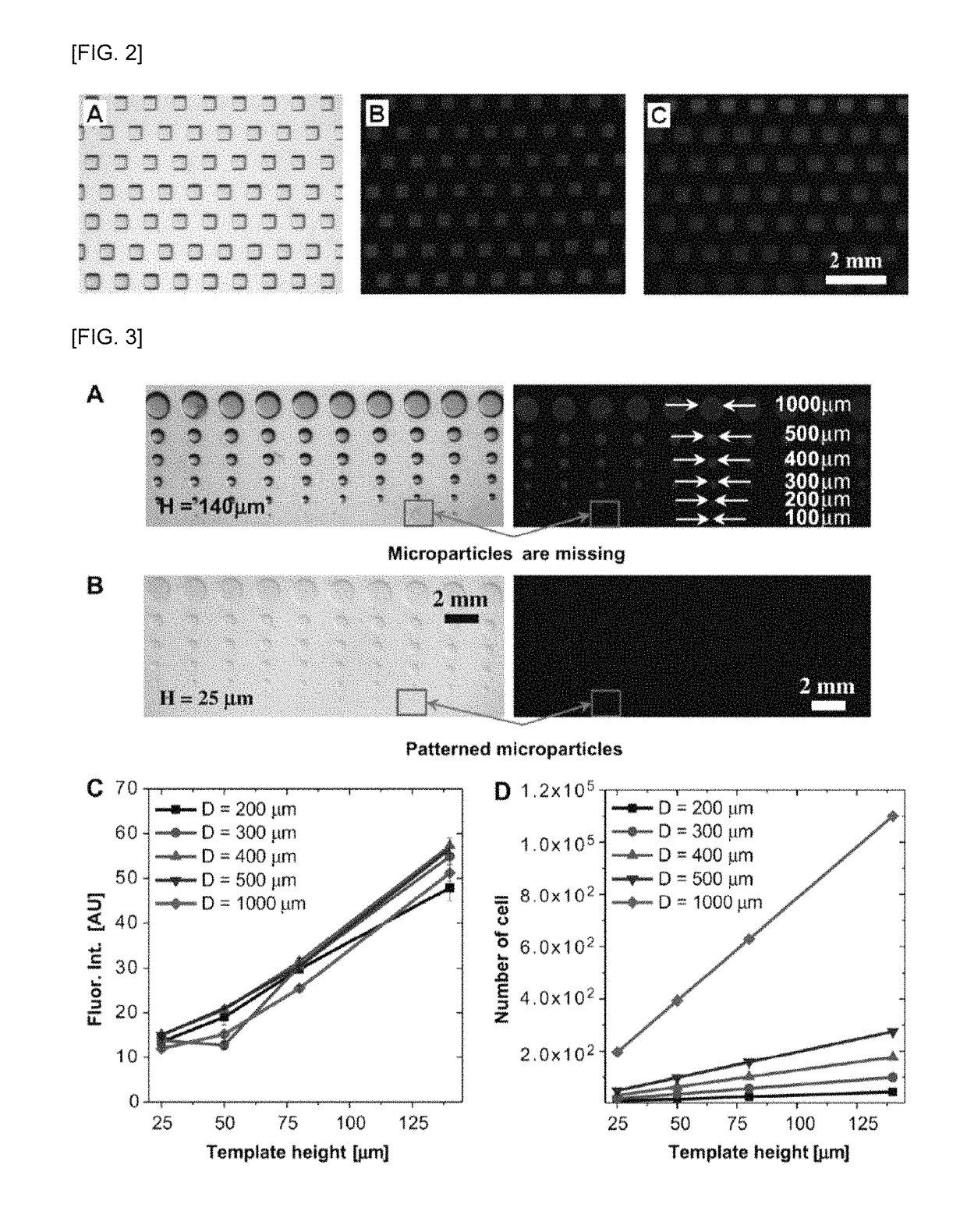 Hydrogel encapsulated cell patterning and transferring method and cell-based biosensor using the same