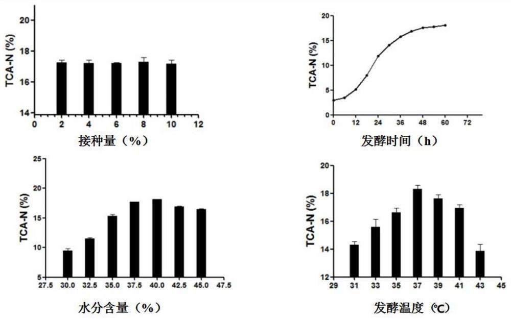 Production method for step-by-step fermentation of peanut meal by bacillus velezensis and pediococcus acidilactici and application thereof