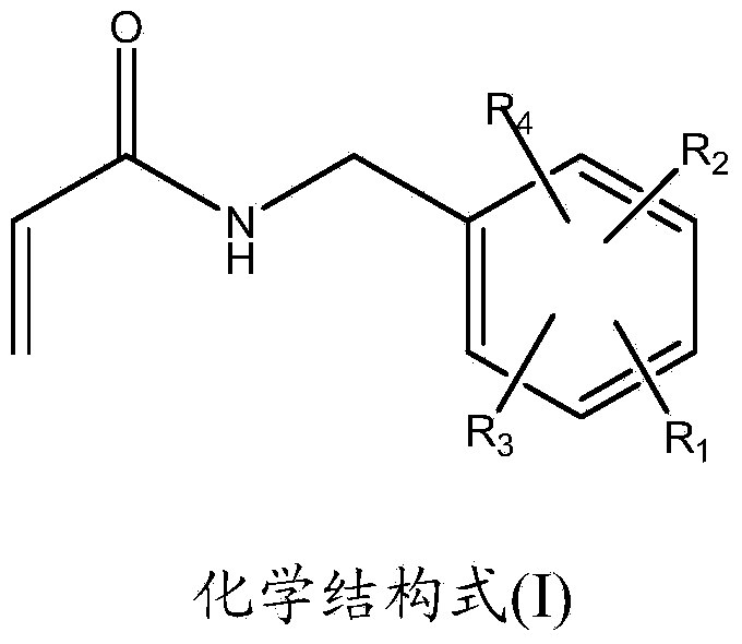 Monofunctional acrylamide compound with capsaicinoid functional structure and preparation method and application thereof