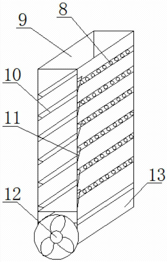 A pumpkin seed polishing treatment equipment and its process