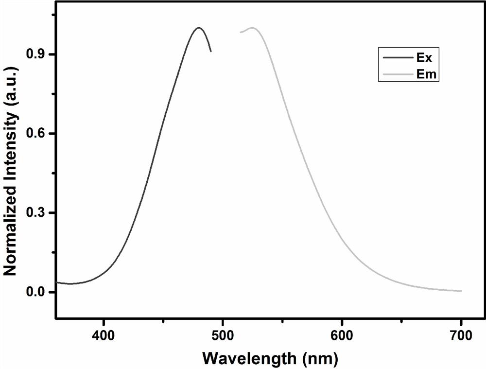 A fluorescent probe targeting cell membrane surface GABA receptor and its preparation method and application