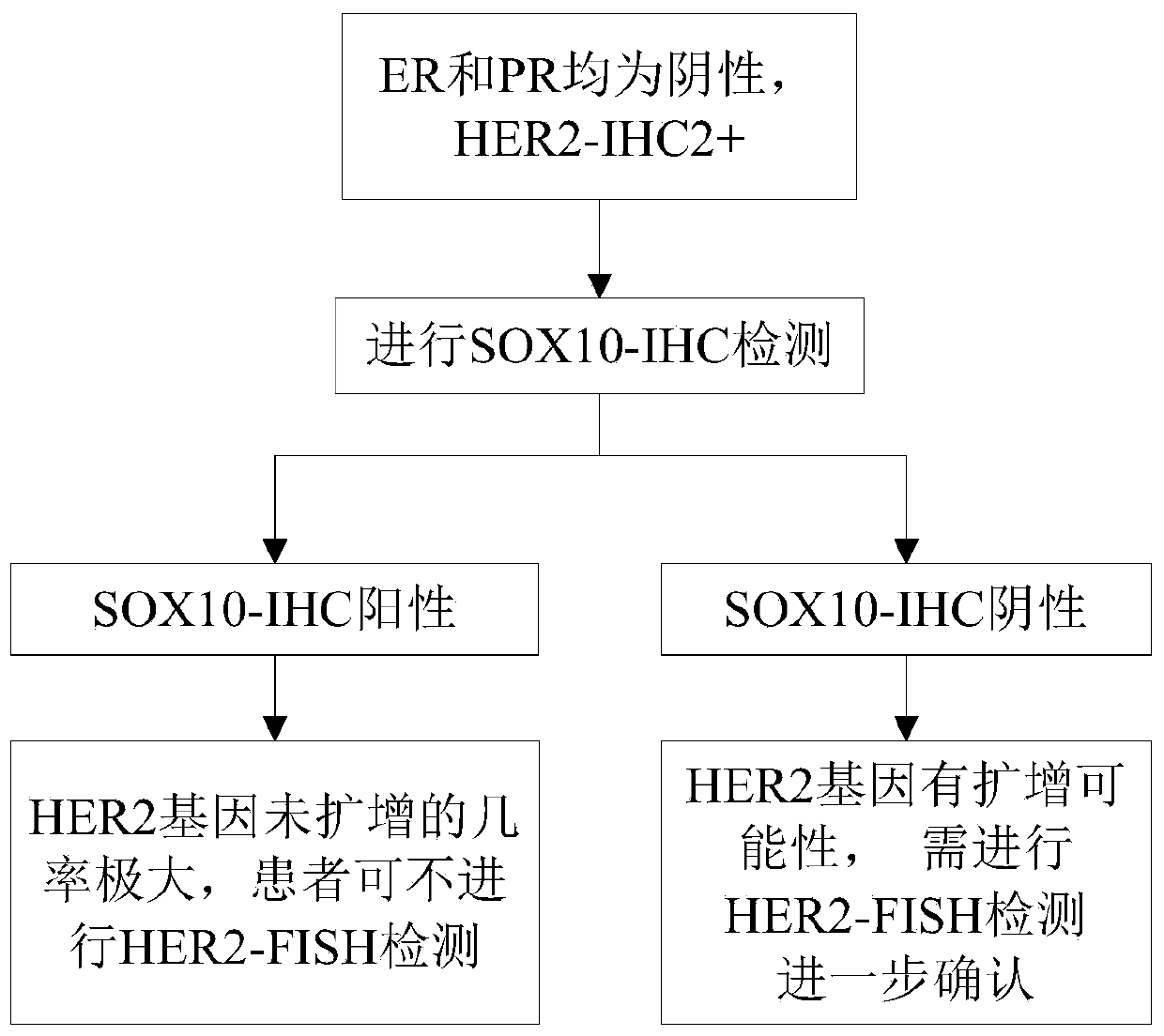 Method for predicting HER2 gene amplification state of breast cancer HER2 immunohistochemical 2 + samples