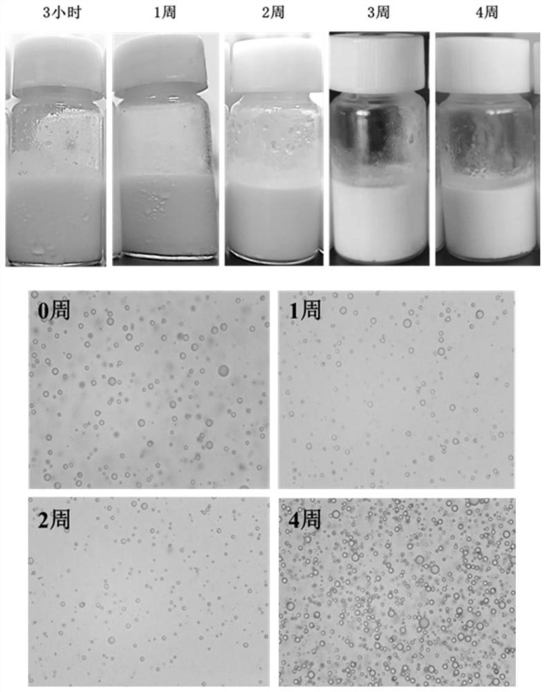 Pickering emulsion with clove oil embedded in amphiphilic thermal gel and preparation method of Pickering emulsion