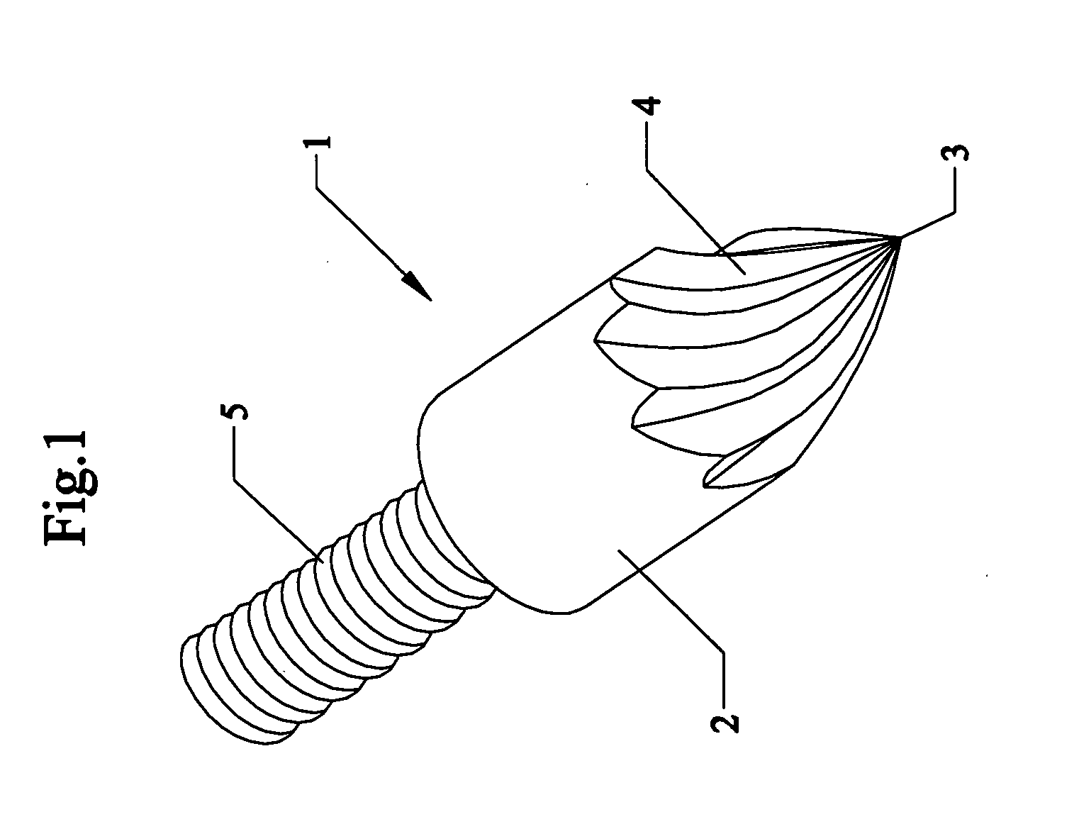 Turbine-tip arrowhead