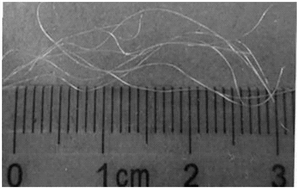 ag@sio  <sub>2</sub> Modification of core-shell structure modified g‑c  <sub>3</sub> no  <sub>4</sub> Preparation method of photocatalytic fiber