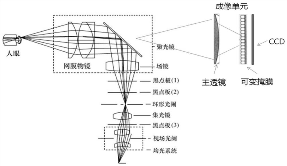 A fundus light field imaging method and device