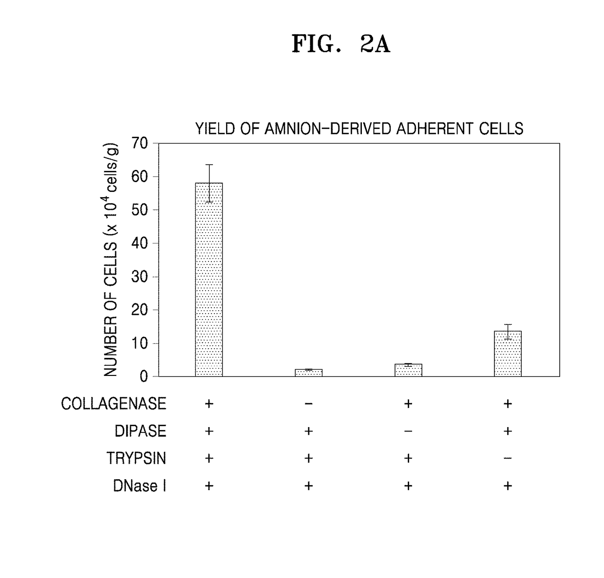 Improved postnatal adherent cells and preparation method therefor