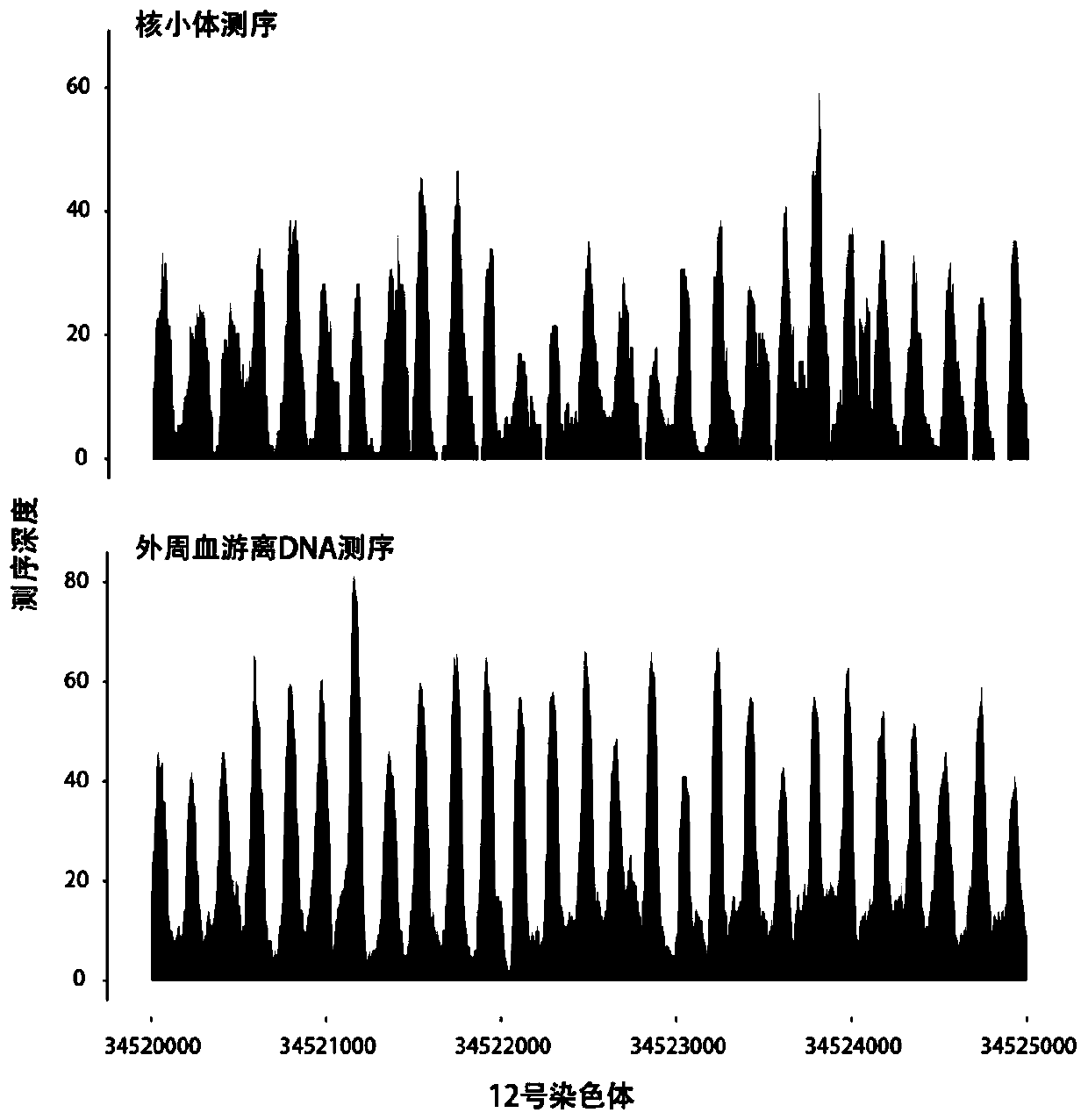 Method of predicting gestational related diseases based on peripheral blood free DNA high-throughput sequencing