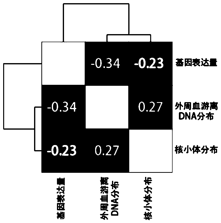 Method of predicting gestational related diseases based on peripheral blood free DNA high-throughput sequencing