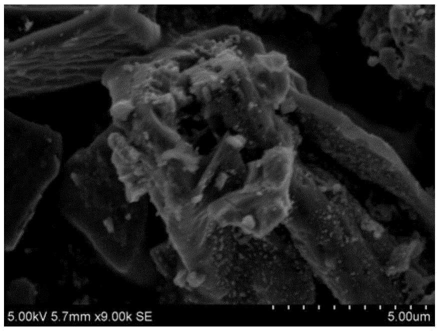 Antibacterial activated carbon nanocomposite material and preparation method thereof