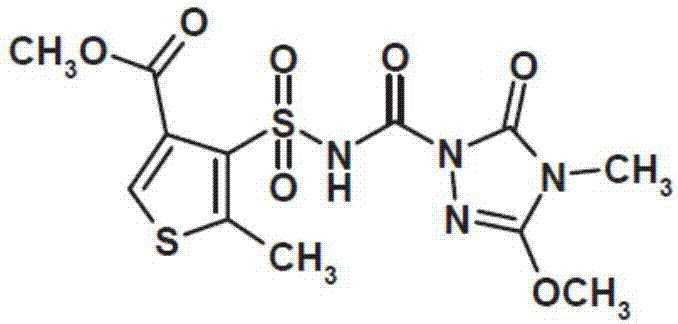 Weeding compound containing thiencarbazone and bicyclopyrone