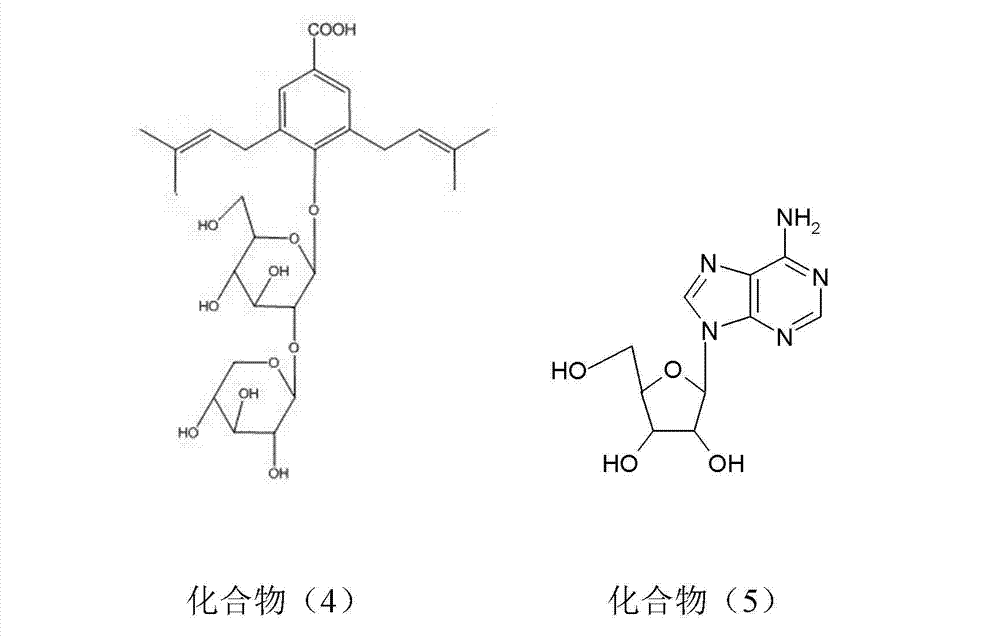 Nervate twayblade herb extracts and application thereof