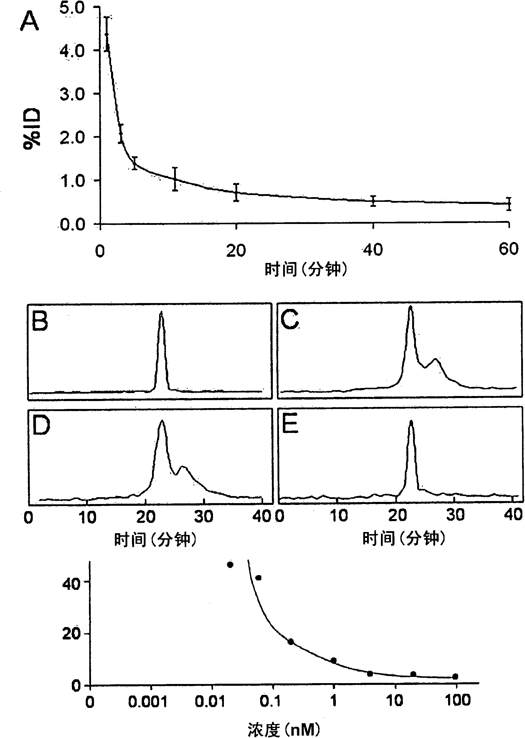 99mTc-labeled 19 amino acid containing peptide for use as phosphatidylethanolamine binding molecular probe and radiopharmaceutical