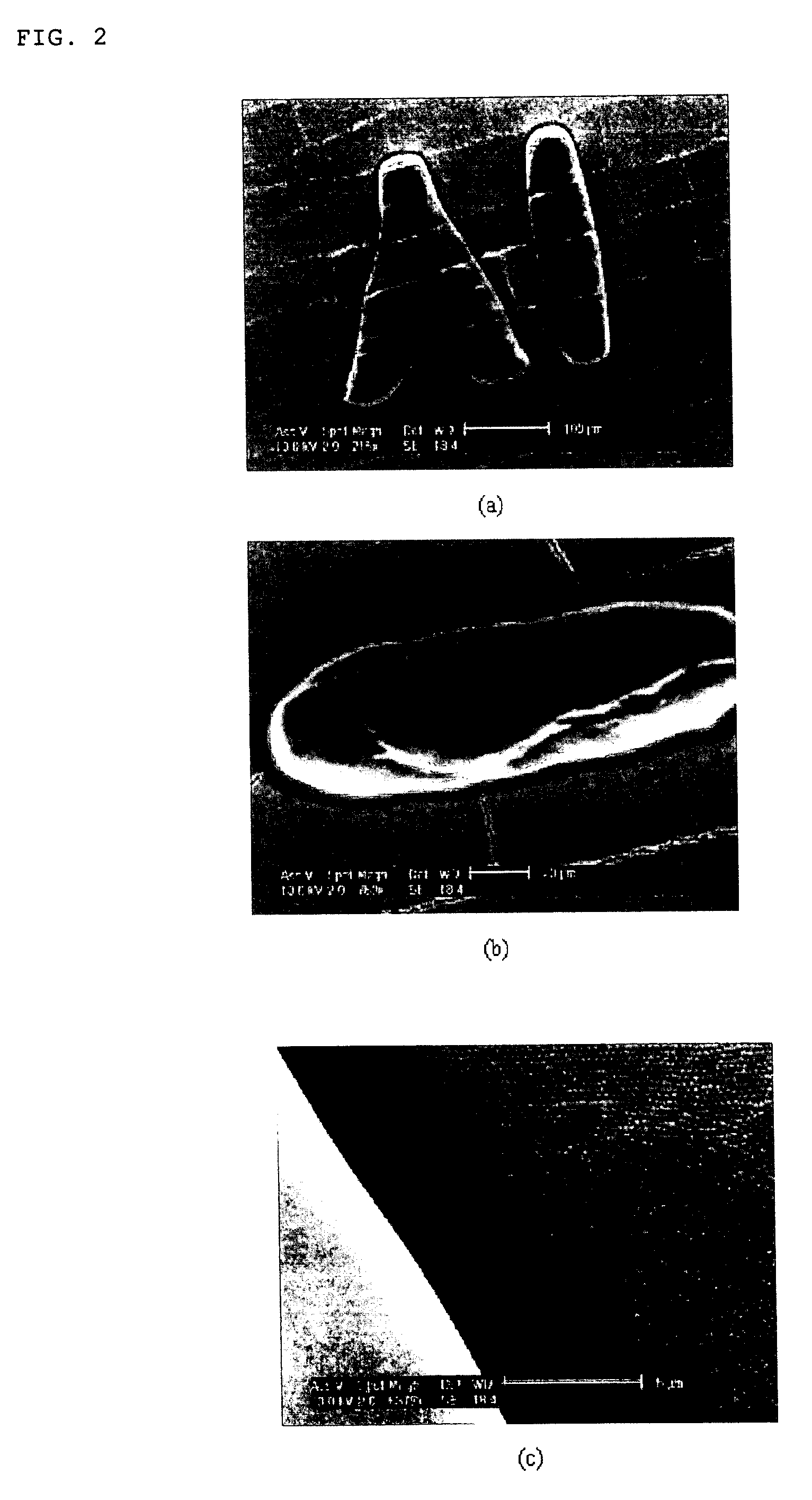 Method of preparing patterned colloidal crystals