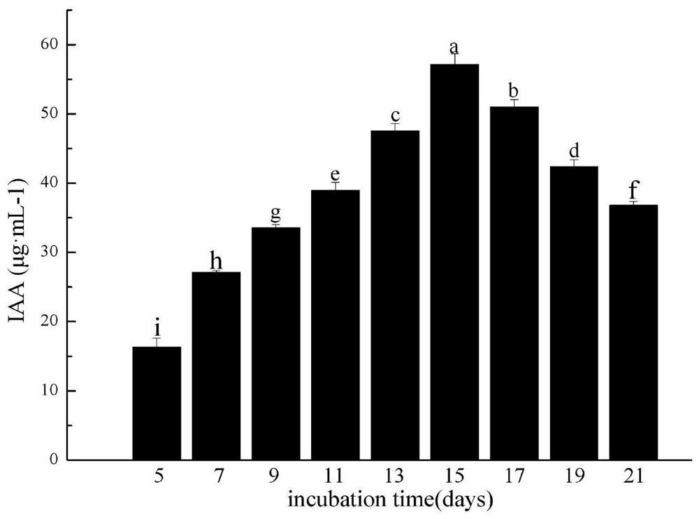 A kind of Streptomyces alboflavinum and the method and application of using the microorganism to prepare biocontrol microbial agent