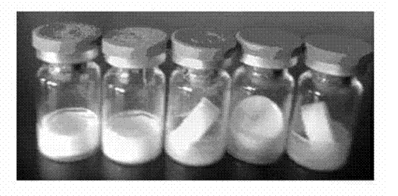 Asparaginase freeze-dried powder injection and preparation method thereof, as well as asparaginase solution