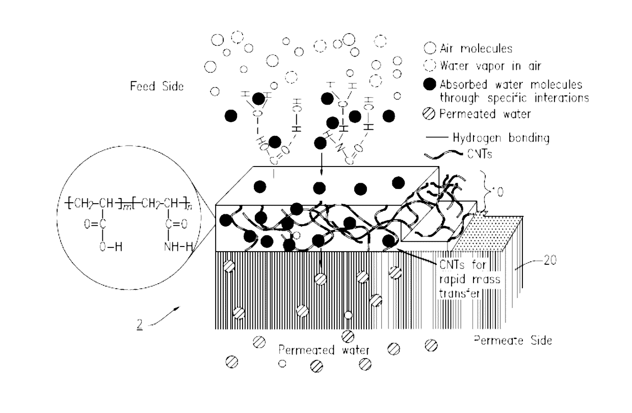 Carbon nanotube immobilized super-absorbing membranes
